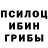 Галлюциногенные грибы GOLDEN TEACHER HAARPER 1