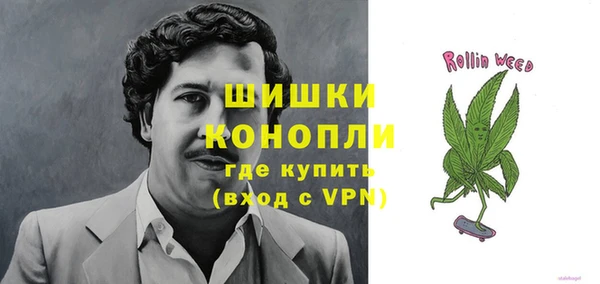 сатива Белоозёрский
