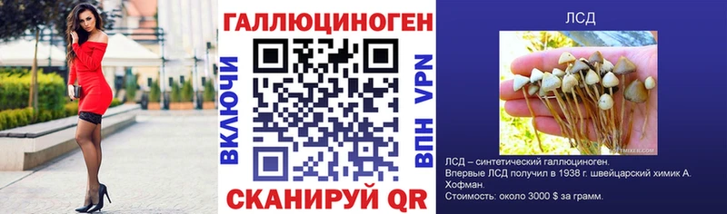 мориарти телеграм  Безенчук  Галлюциногенные грибы мицелий 